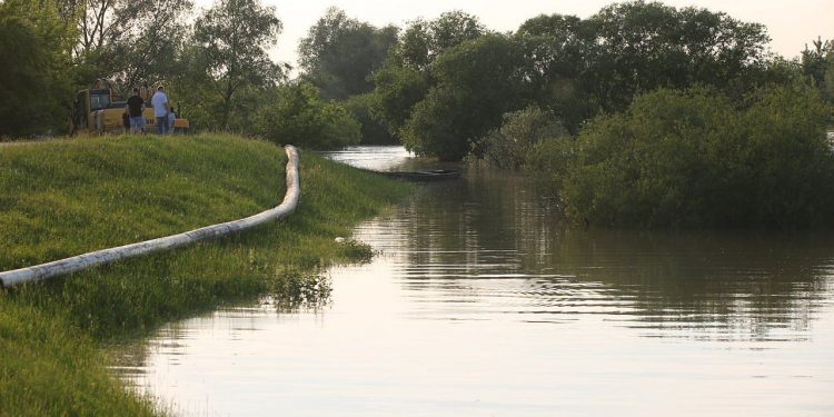 2019-05-26T19:10:13:01 , 

Fot. Piotr Michalski 

Fala . 
Bochotnica , Dobre , Wilkow , Kepa Chotecka , Zmijowiska , Piotrawin , Jozefow .