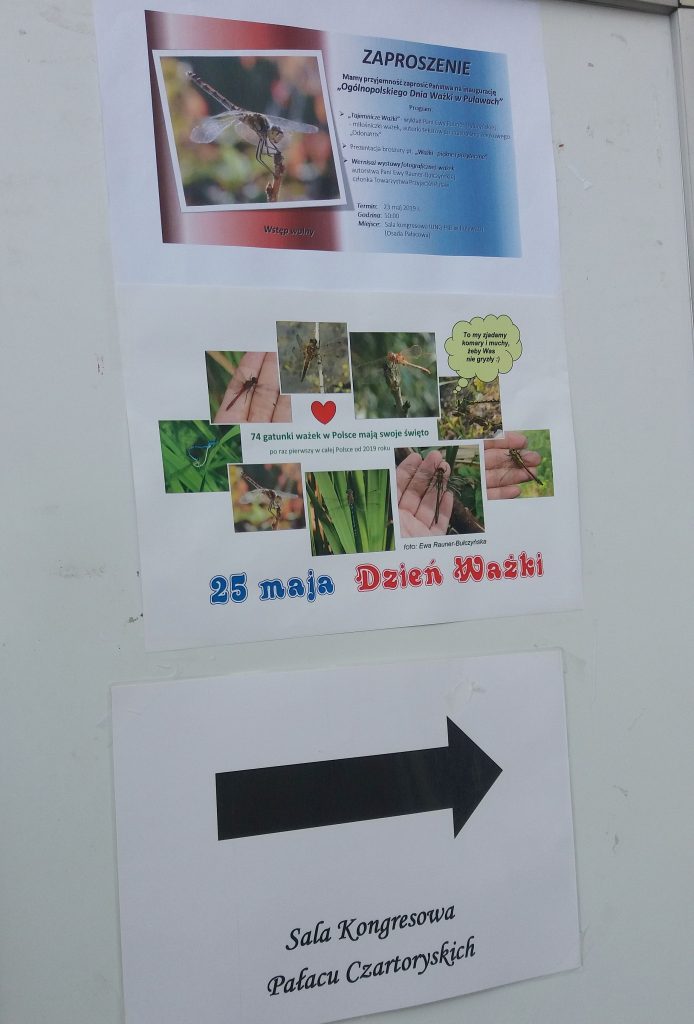 25 maja - Ogólnopolski Dzień Ważki 1 002 344