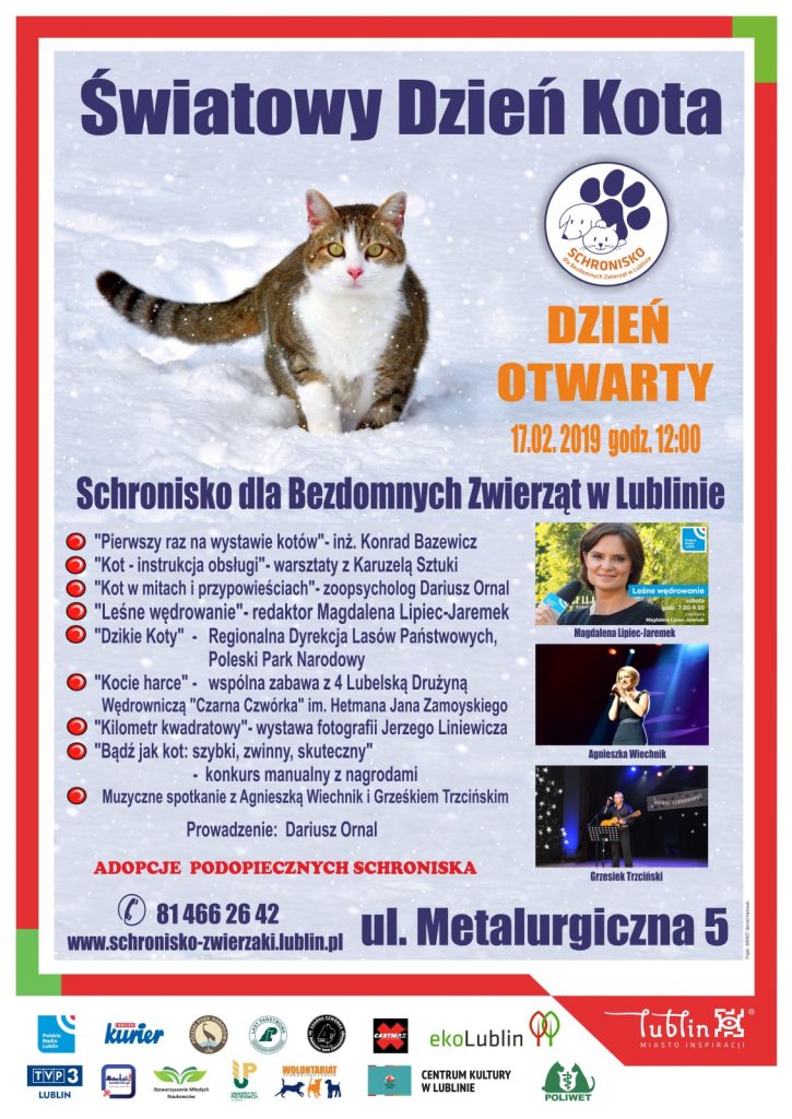 dzien kota plakat
