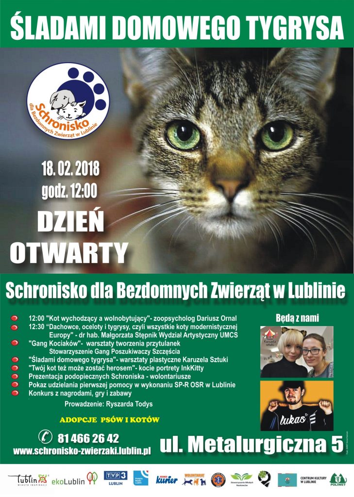 dzienkota2018 v7