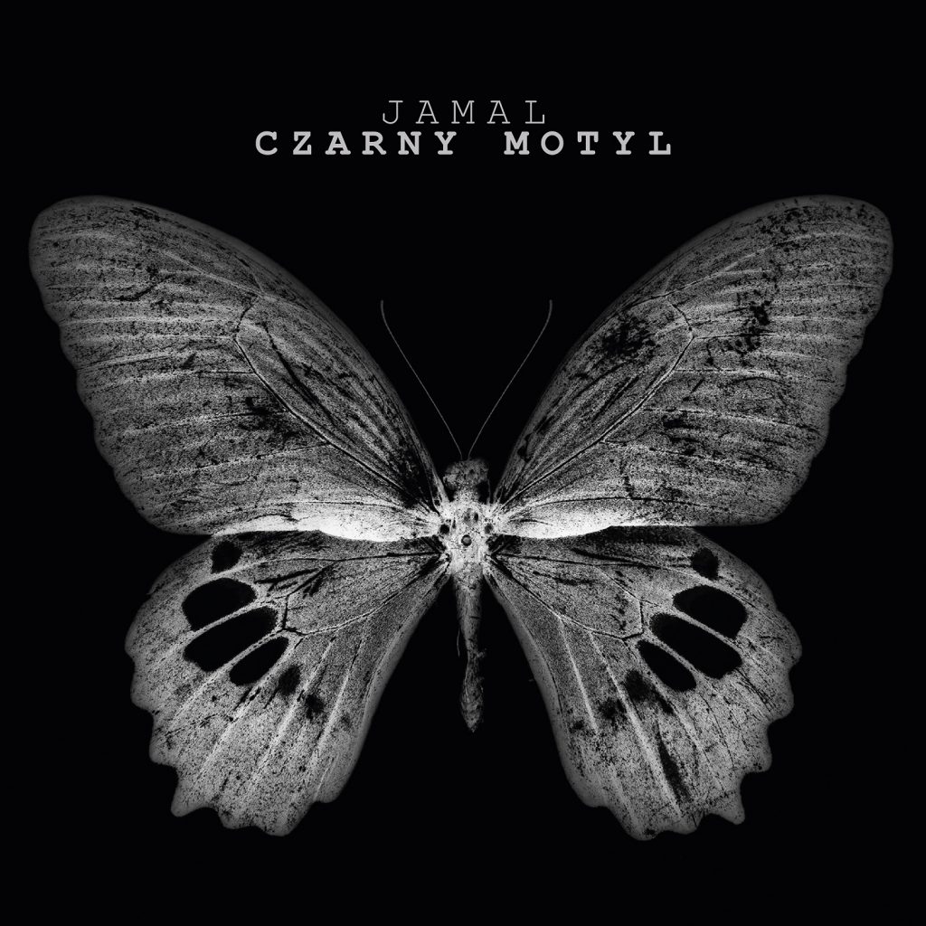 jamal czarny motyl front