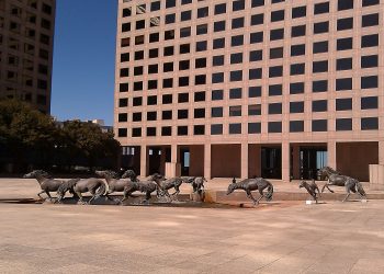 mustangs las colinas