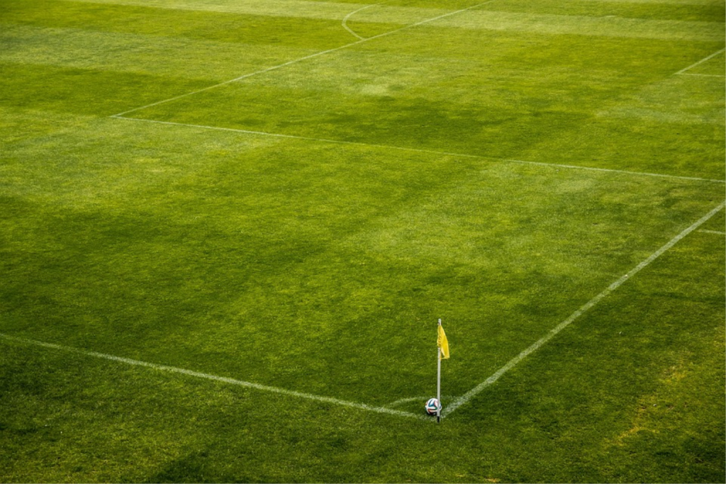Polskie piłkarki lepsze od Gruzji 1 pilkarki 1