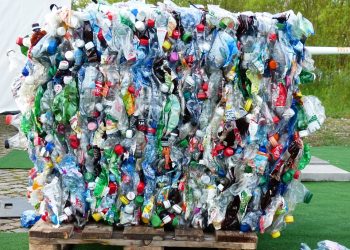 plastic bottles 115069 960 720