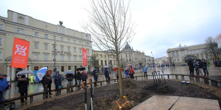 2017-10-23T12:51:53:00 , 

Fot. Piotr Michalski 


Nowy Baobab na Plac Litewski , zakopanie Kapsula Czasu .