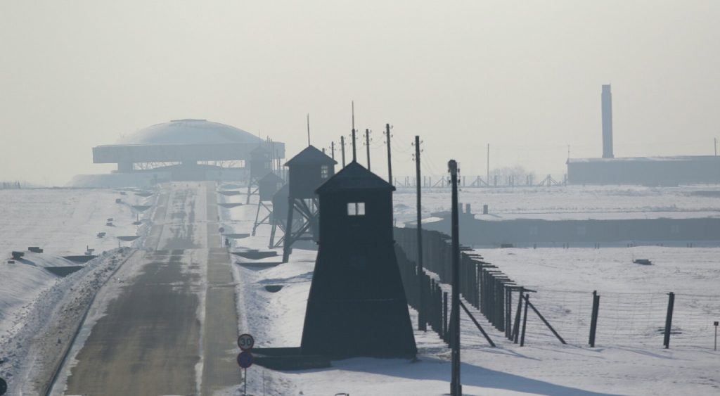 pm majdanek10 4