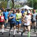 2019-05-12T08:58:03:00 , 

Fot. Piotr Michalski 


Maraton Lubelski .