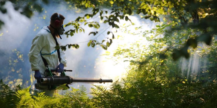 2019-06-24T18:10:35:00 , 

Fot. Piotr Michalski 

Odkomarzanie . Ogrod Saski .