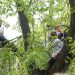 2019-05-29T15:58:59:00 , 

Fot. Piotr Michalski 


Protest dot . wycinka drzew przy przebudowa al . Raclawickie .