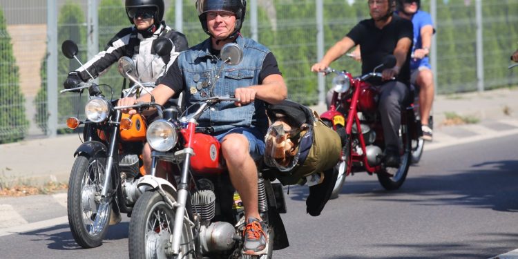 2019-08-24T11:07:16:93 , 

Fot. Piotr Michalski 


Zlot i parada motocykli WSK i innych jednosladow .