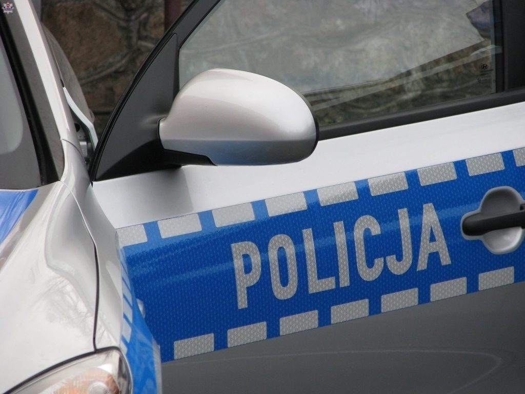 policja 233