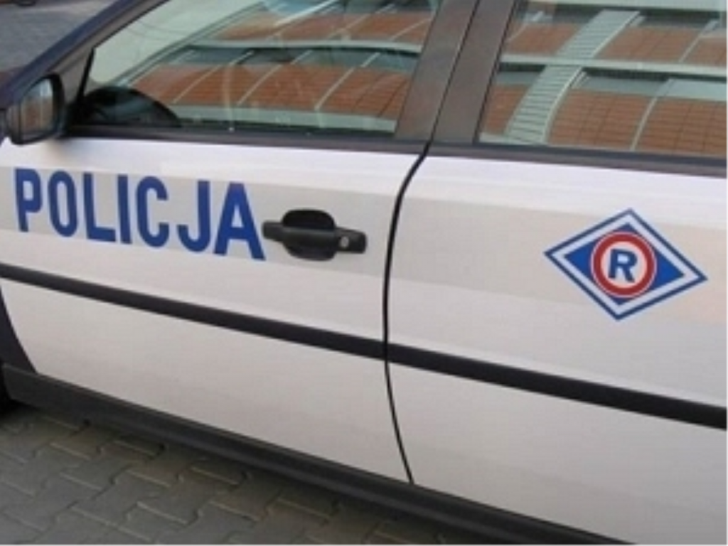 policja 81