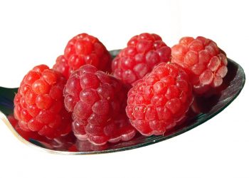 raspberries 1338034 960 720