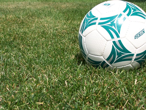 soccer ball and grass 1550139