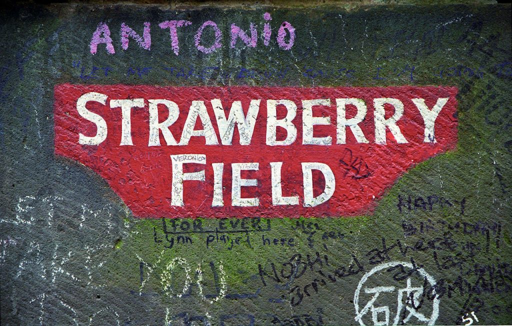 strawberryfield 1