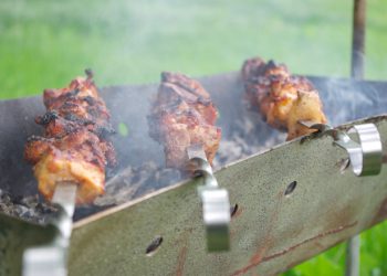 traditionally made shashlik on picnic