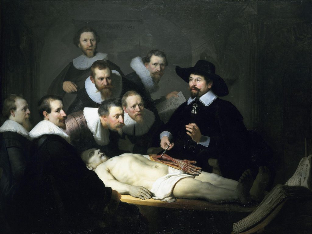 the anatomy lesson 1