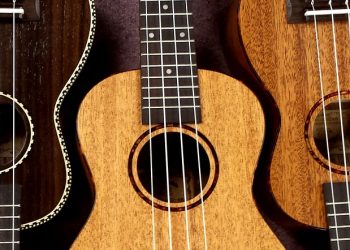 ukulele 2205860 960 720