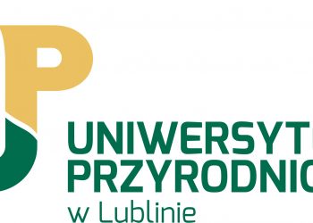 up logo