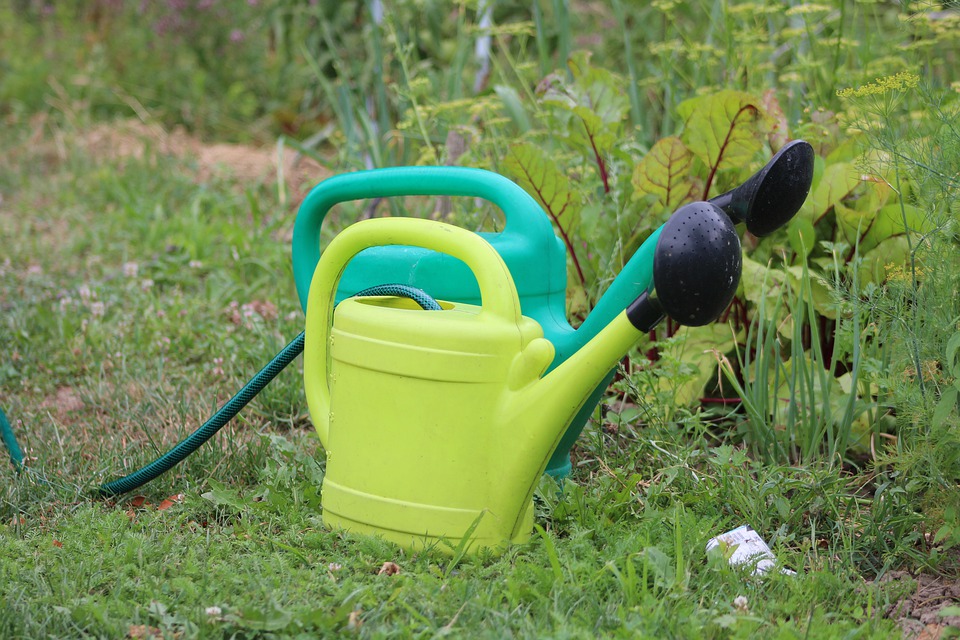 watering can 4329685 960 720