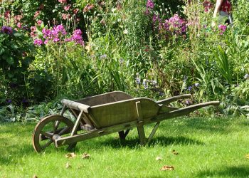 wheelbarrow 1232408 960 720