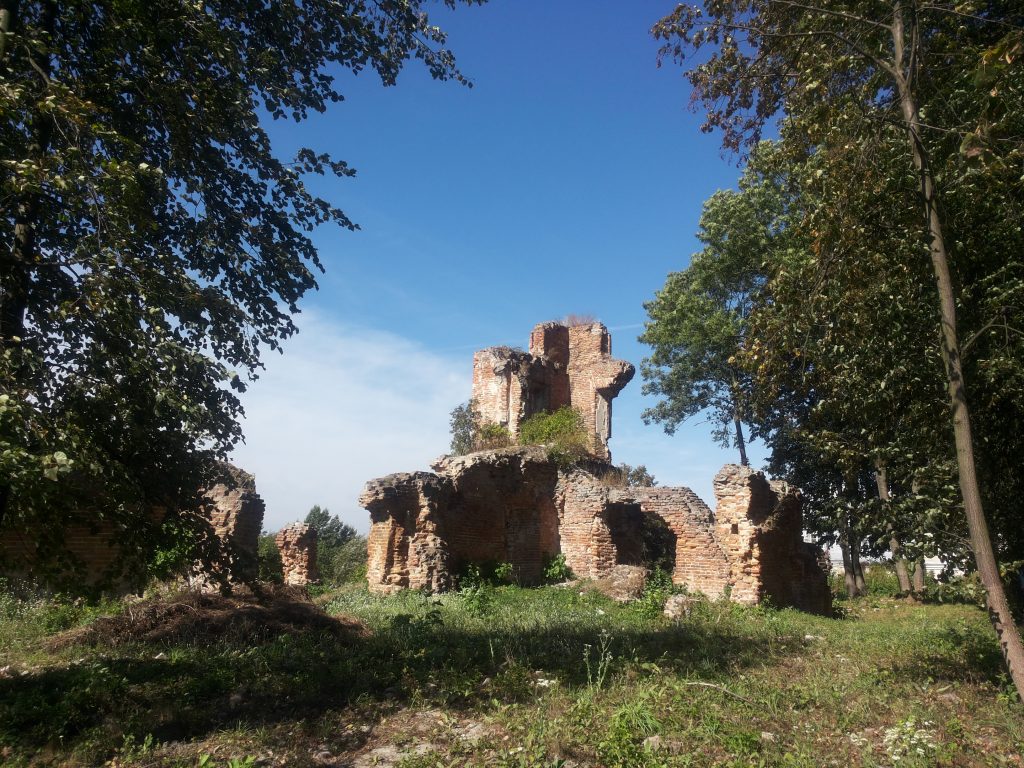 zawieprzyce ruiny palacu 1