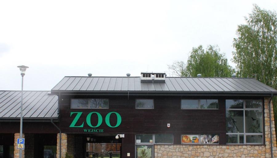 zoo 4