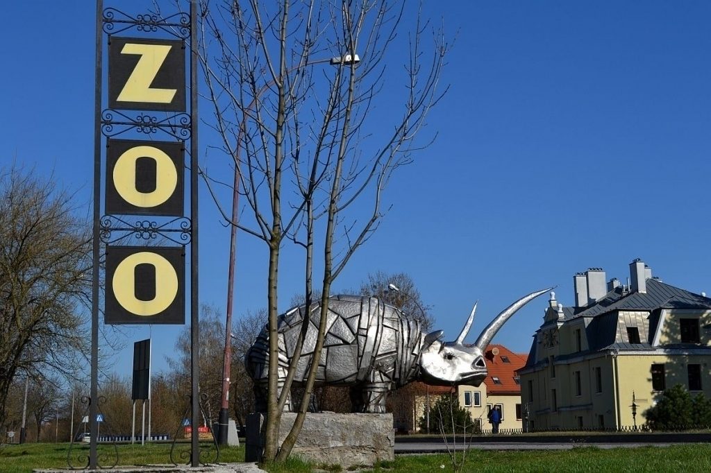 zoo 9