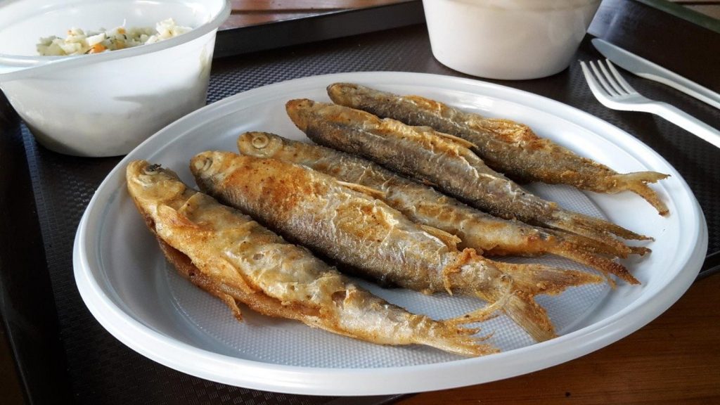 fish 4176085 1280 1