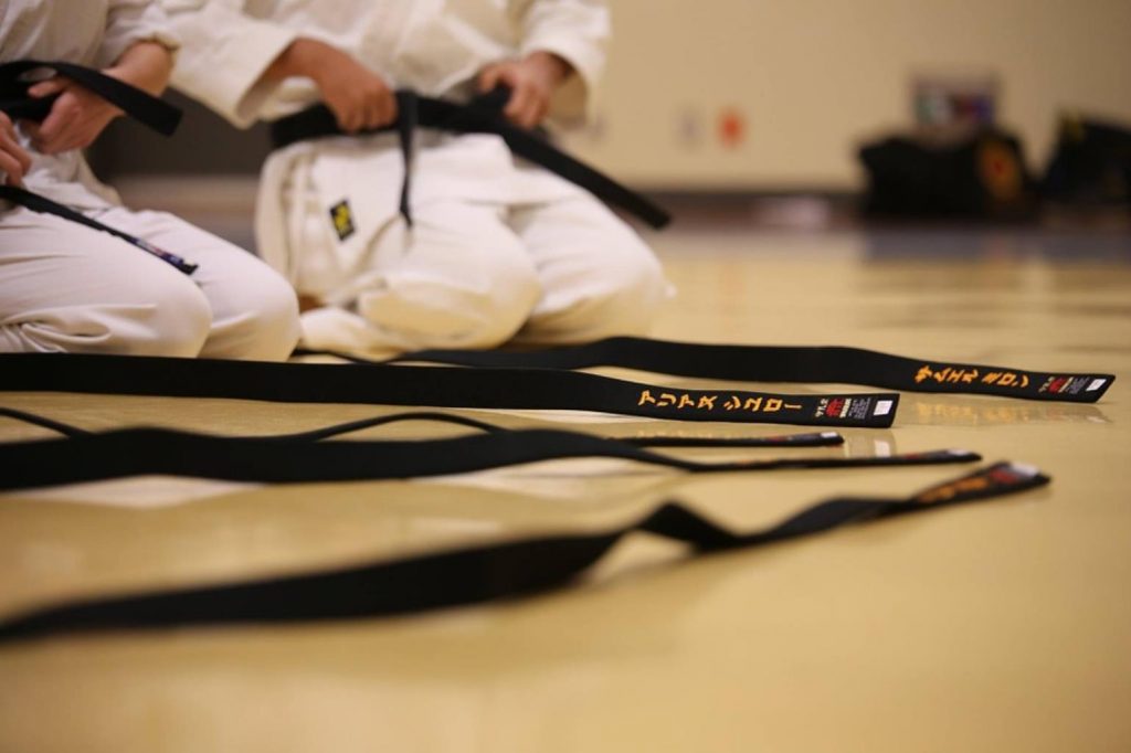 black belt 894190 960 720 1