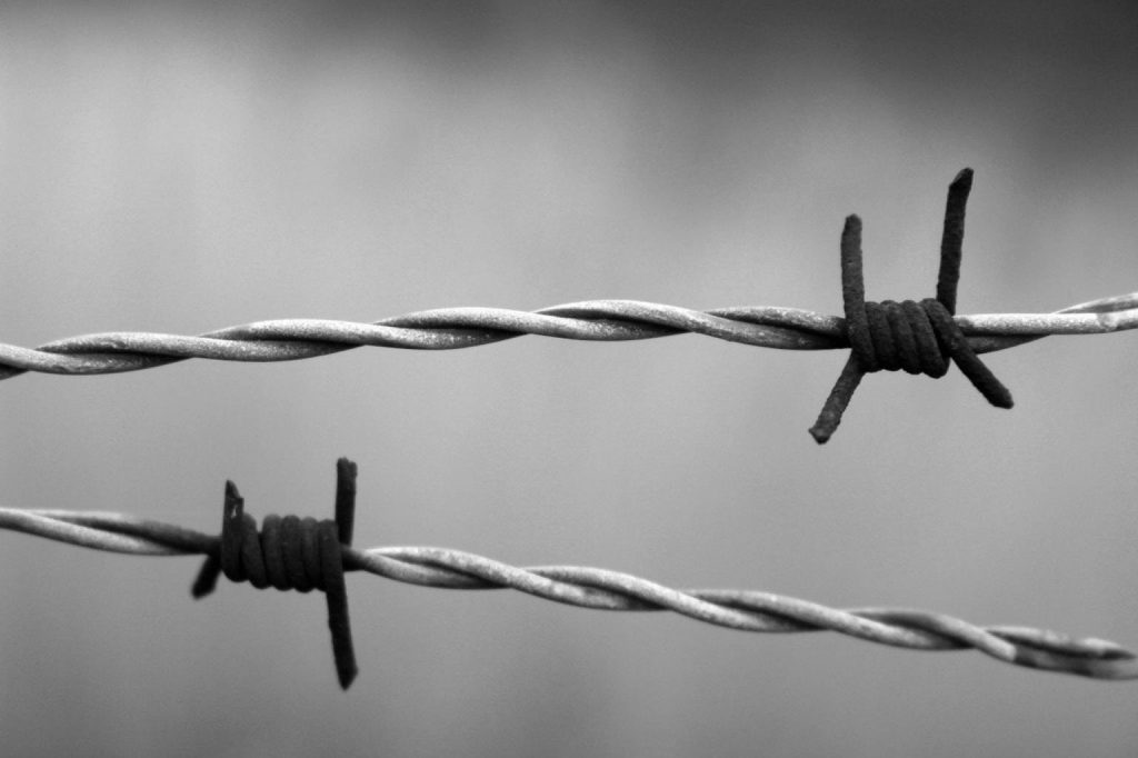 barbed wire 1269430 1280