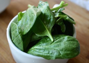 spinach 1427360 960 720