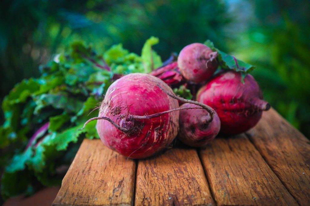 beetroot 687251 1280 1