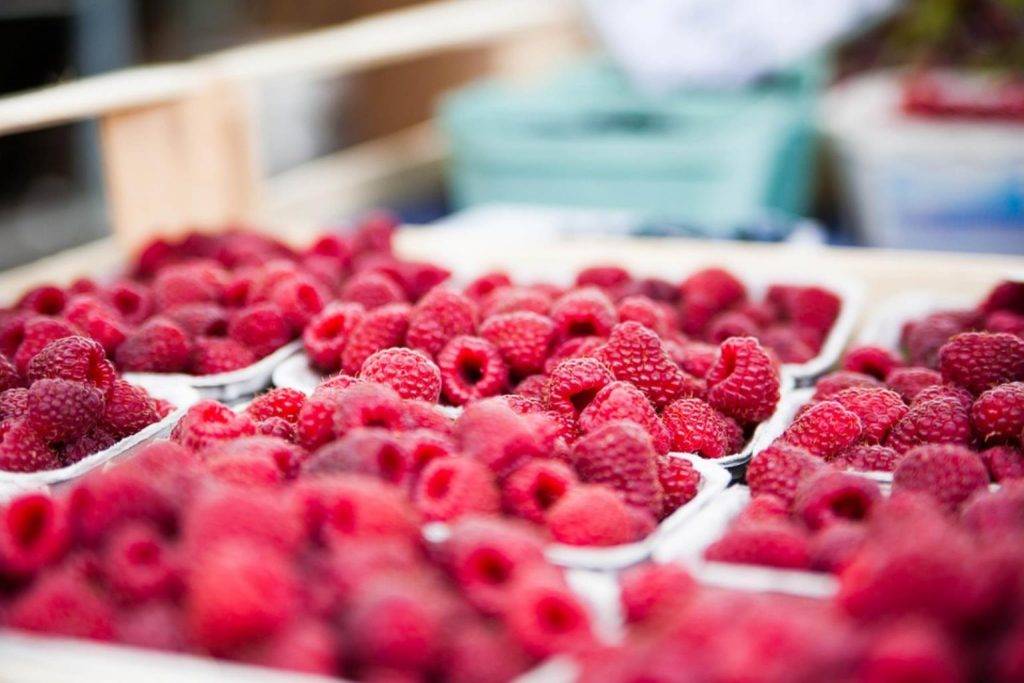 raspberries 422979 960 720 1