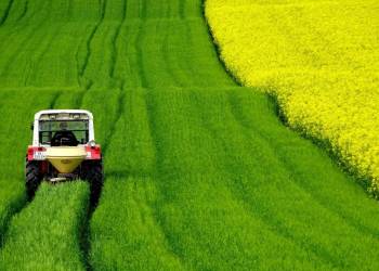 field of rapeseeds 4910374 1920 2020 03 16 130602