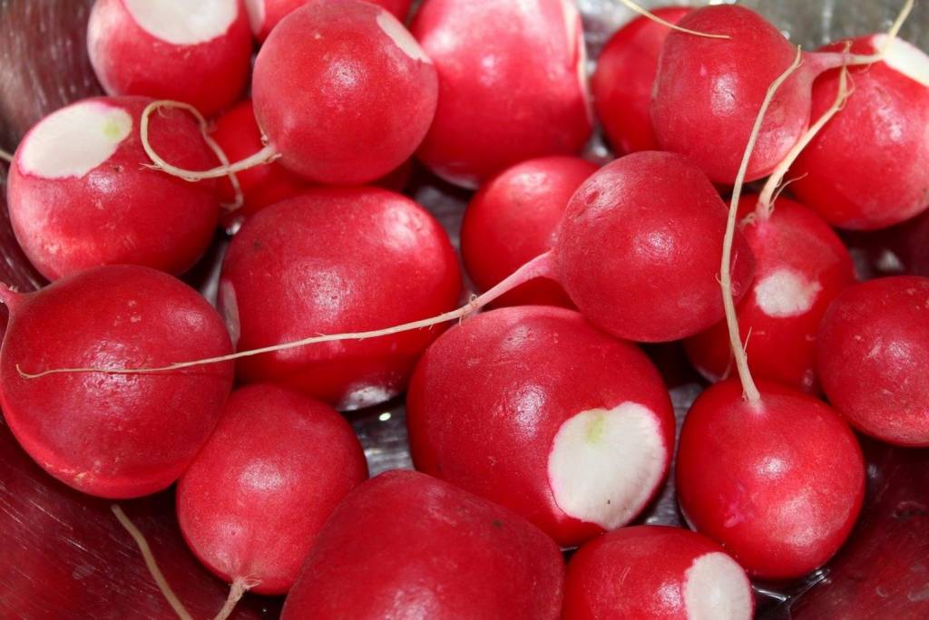 radish 4000891 1280 2020 03 09 120913