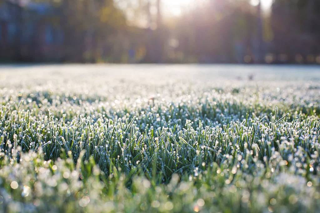 frost on grass 1358926 960 720 2020 04 01 103858