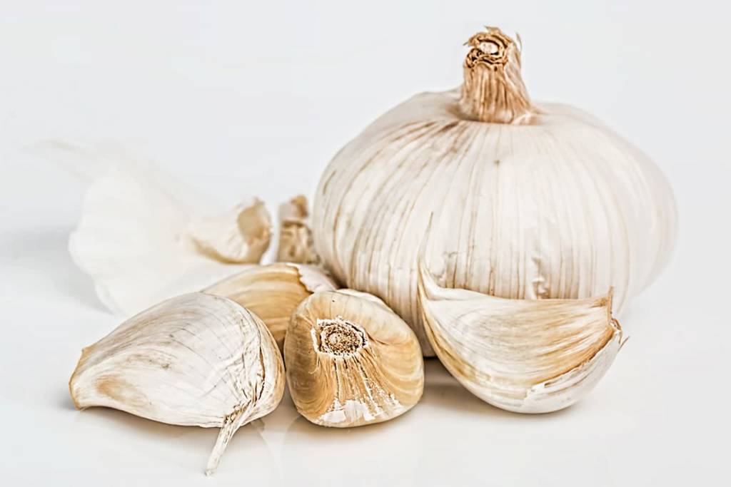 garlic 1726810 960 720 2020 04 21 085658