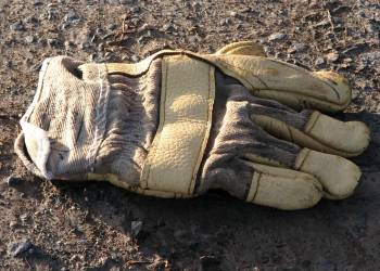 glove 1562744 1920 2020 04 16 134916