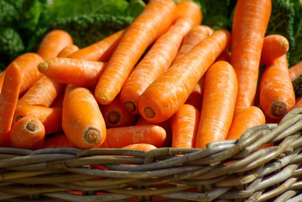 carrots 673184 1920 2020 05 08 145350