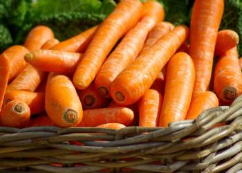 carrots 673184 1920 2020 05 08 145350