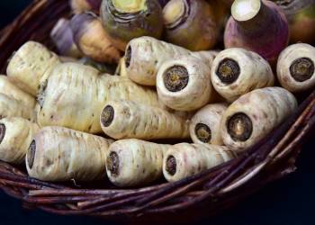 parsnips 3860993 1920 2020 05 21 152422