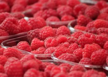 raspberries 378259 1920 2020 07 27 125615