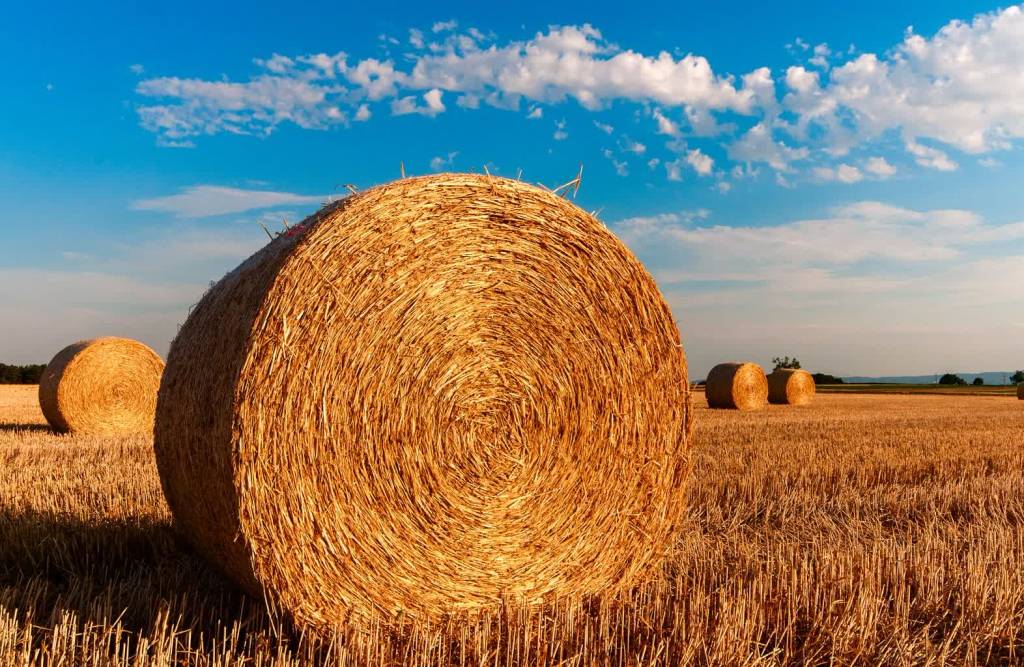 straw bales 726976 1920 2020 08 22 170225