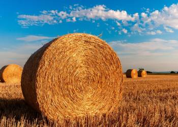 straw bales 726976 1920 2020 08 22 170225