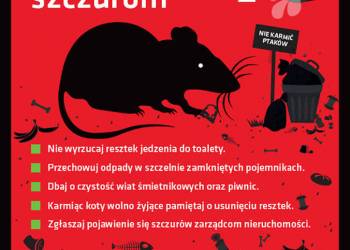 szczury plakat 2020 08 05 105134