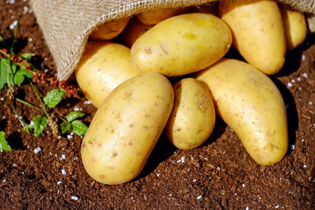 potatoes 1585075 1920 2020 09 13 100054