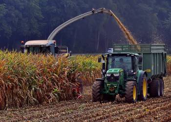 corn harvest 5596982 1920 2020 10 05 140450