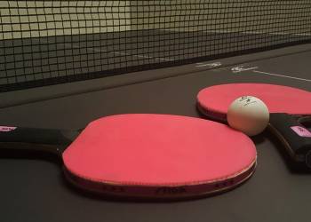 ping pong 2020 11 08 114947