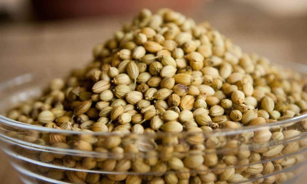 coriander 390708 1920 2020 12 08 114710